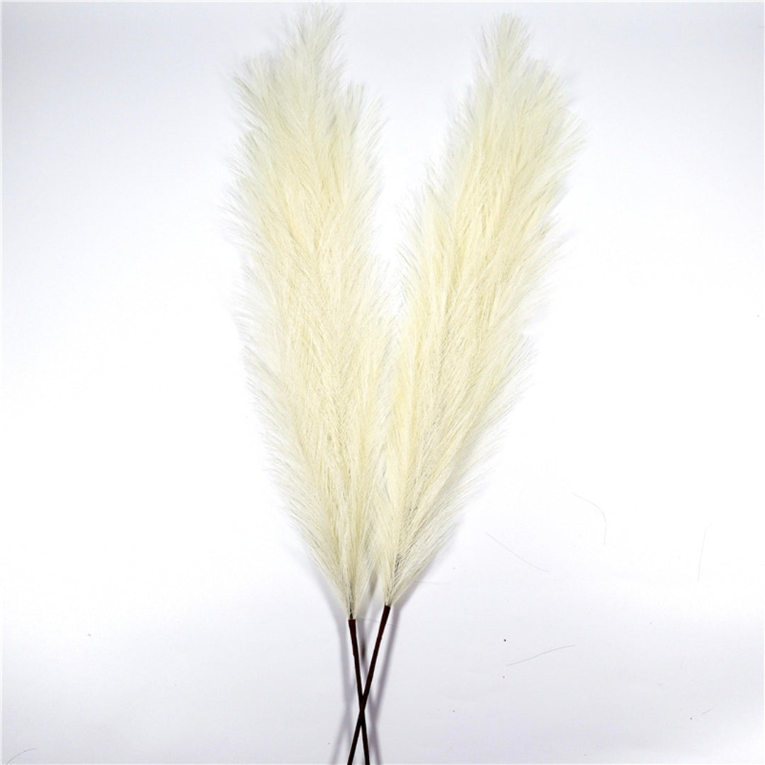 Pampasgrass