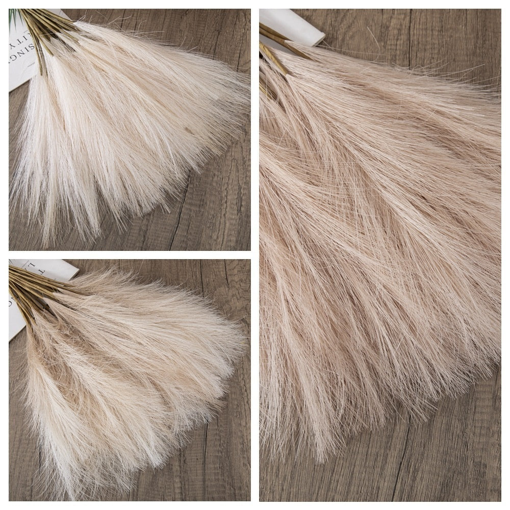 Reed Pampass Grass