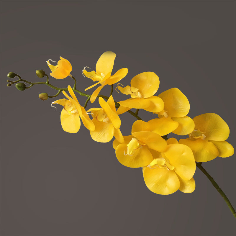Bunte Latex Kunst Blumen