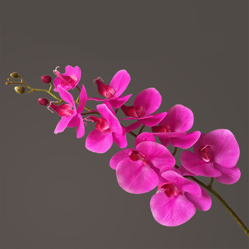 Bunte Latex Kunst Blumen