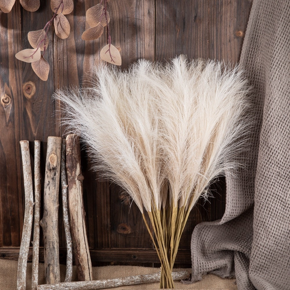 Reed Pampass Grass