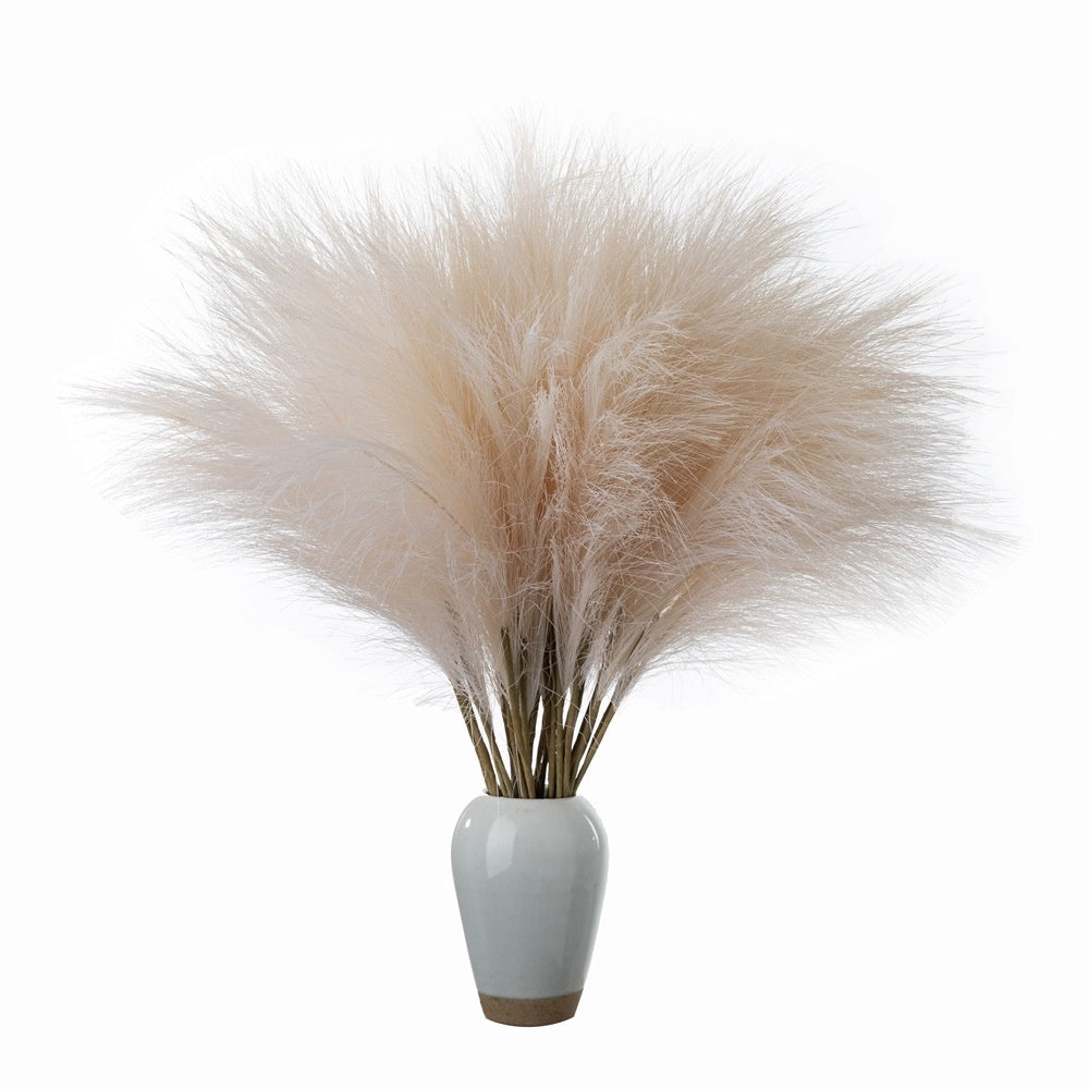 Reed Pampass Grass