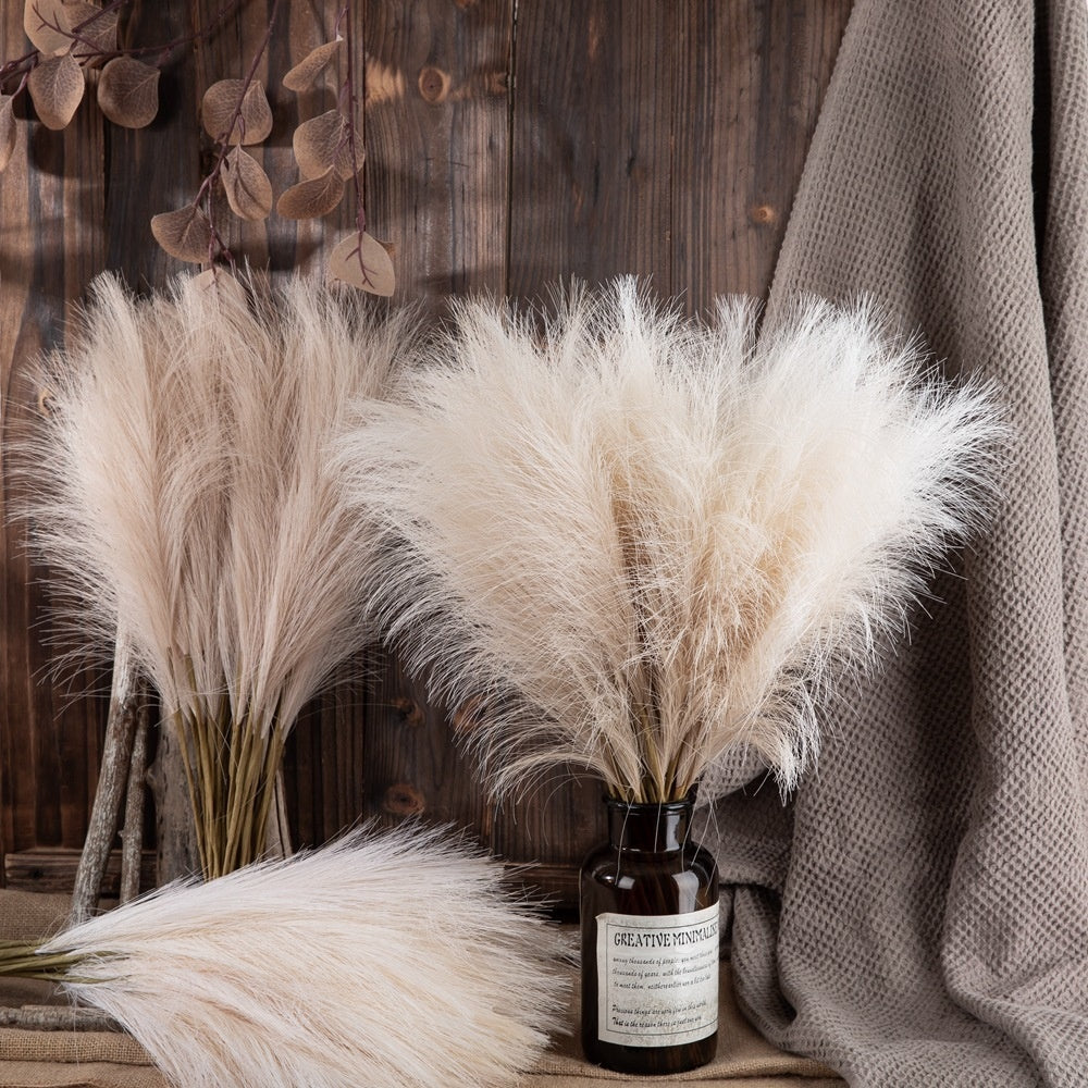 Reed Pampass Grass